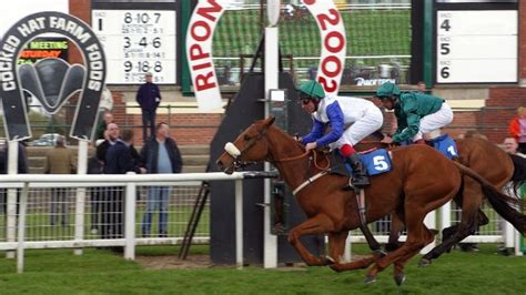 horse racing scoop 6 today.